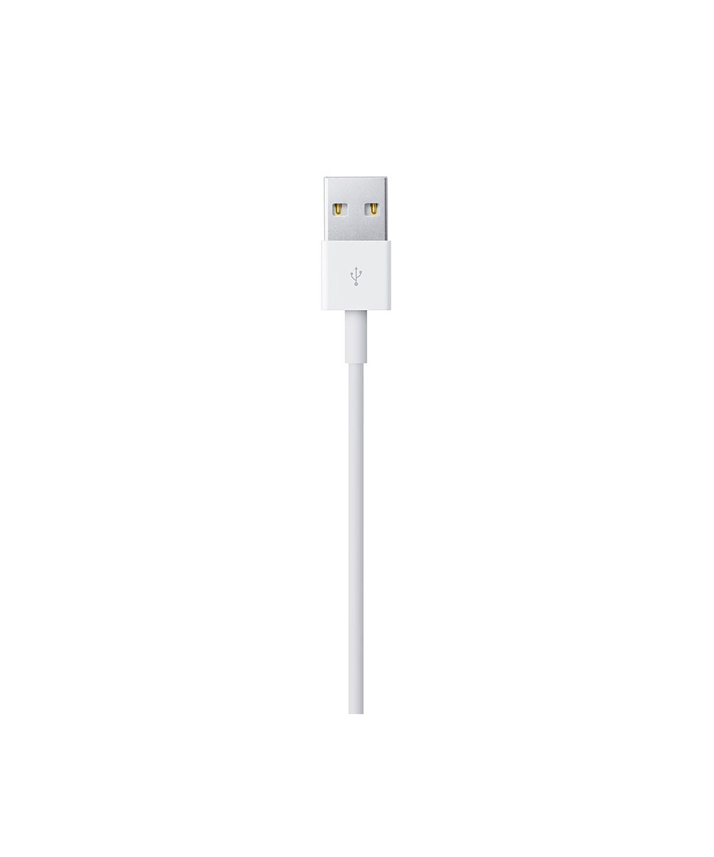 Apple Tunisie Câble chargeur Apple Lightning USB (1 m) à bas prix