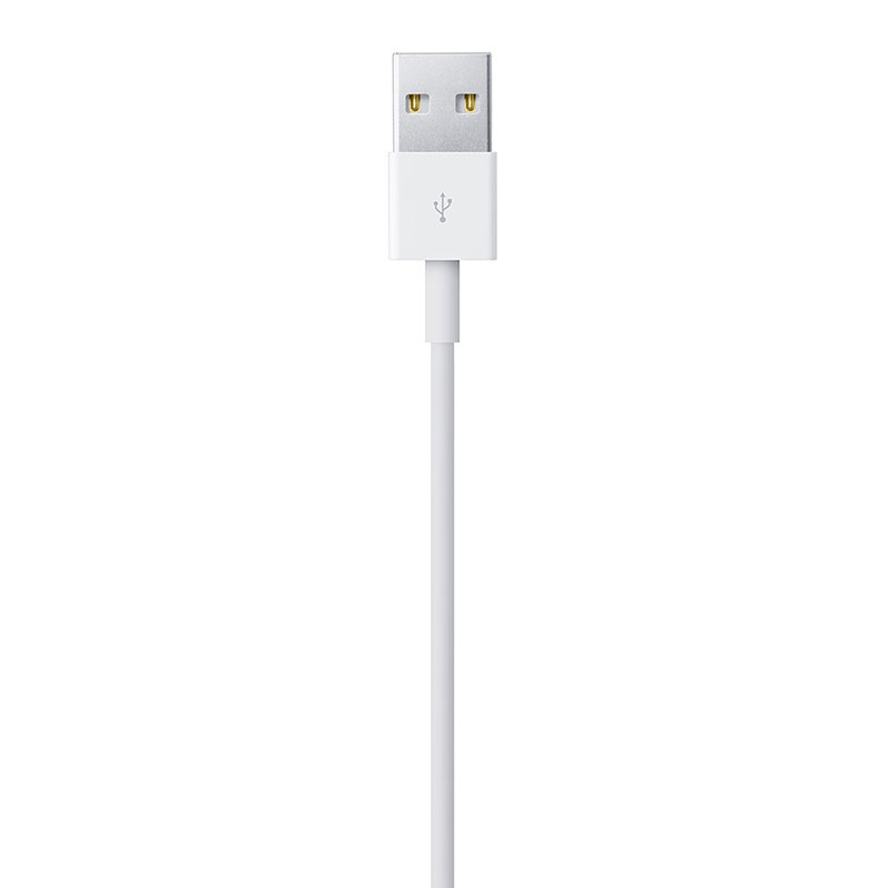 Câble Lightning vers USB (1 m)