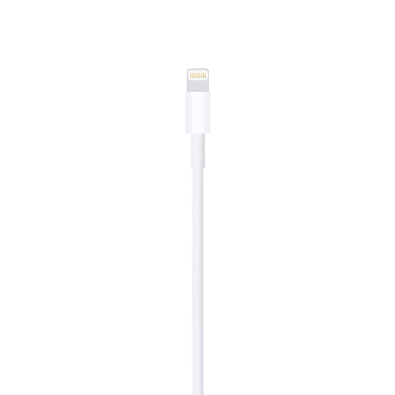 Câble Lightning vers USB (1 m)